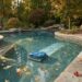An automatic pool cleaner helping manage light seasonal debris in a residential backyard pool